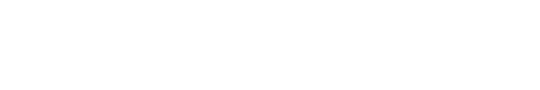 Shopify Partners